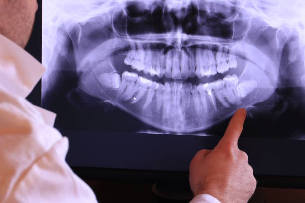 Best Emergency X-Rays and Diagnostics in Manchaca, TX